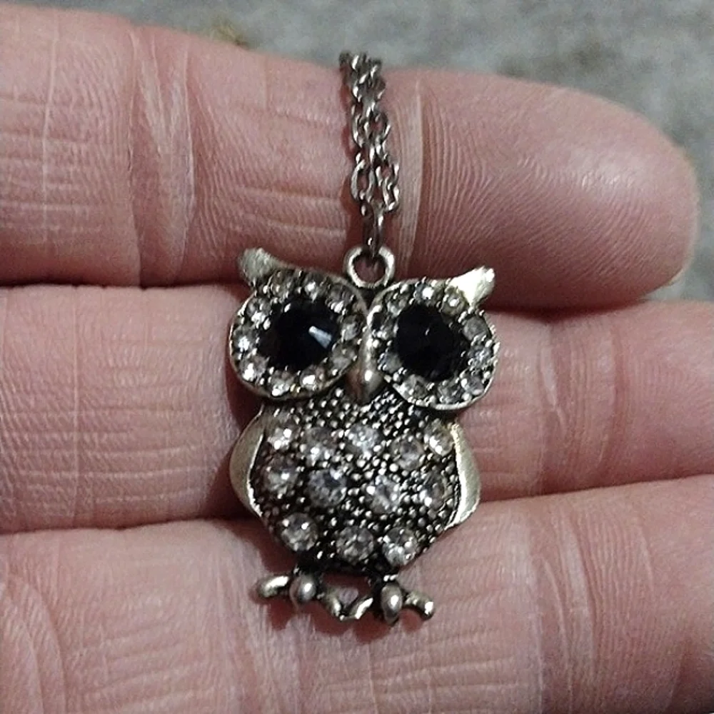 AEROPOSTALE BRASS-TONE OWL AND UNBRANDED SILVER-TONE OWL PENDANT NECKLACES
